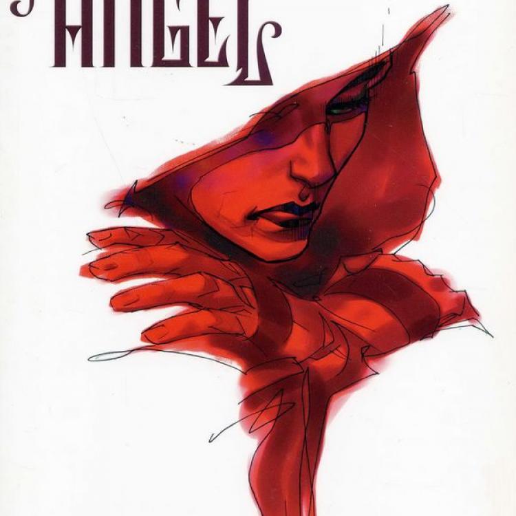 Fallen Angel Volume One (DC, 2004), cover, art by Brian Stelfreeze